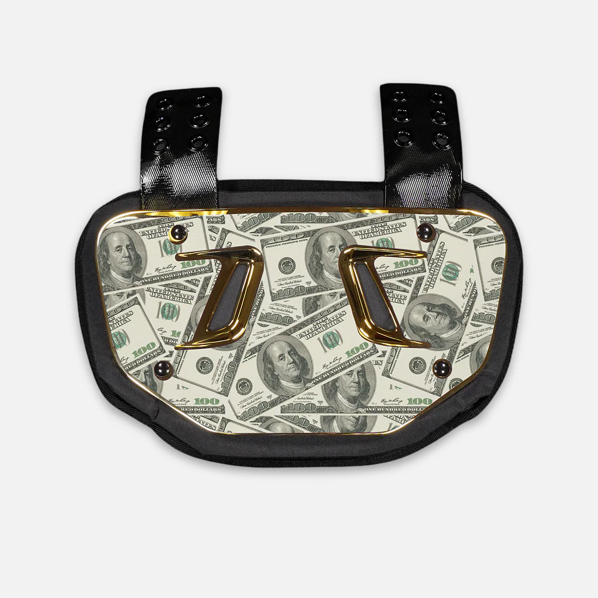 Money Benjamins Sticker for Backplate - Image 3