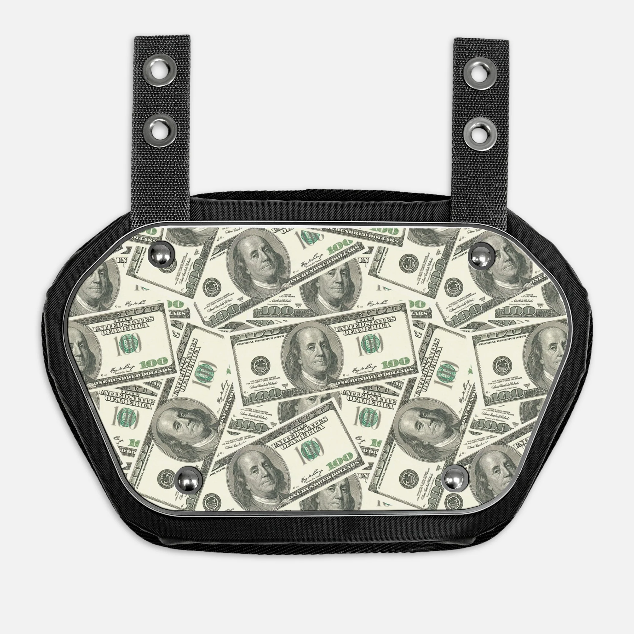 Money Benjamins Sticker for Backplate - Image 8