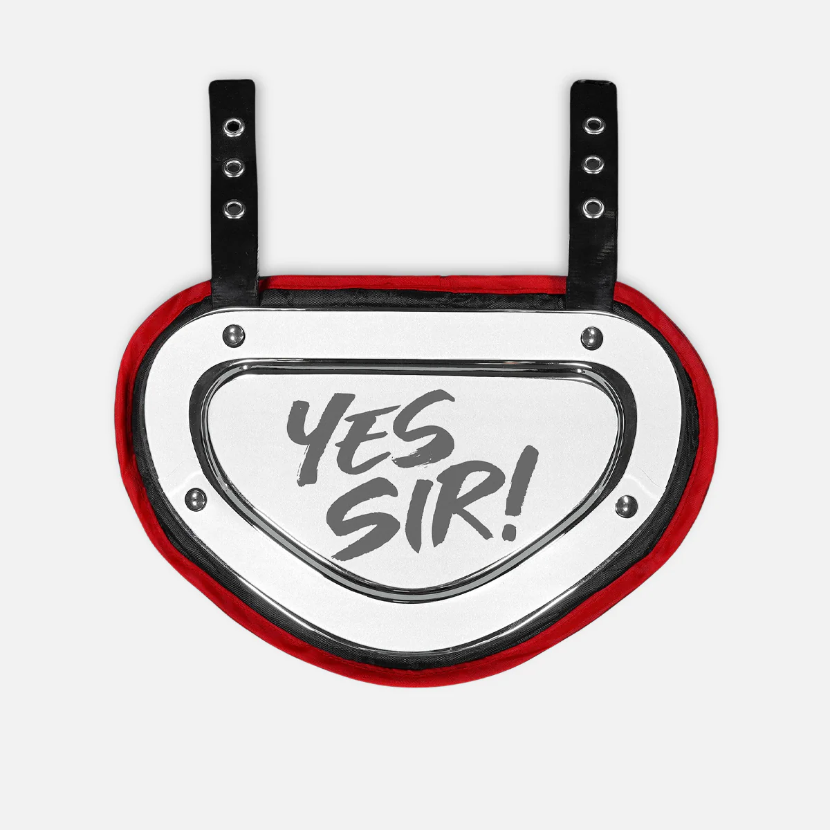 Yes Sir! Sticker for Backplate - Image 5